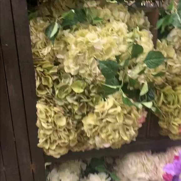 Meet your Posher, Andy - Picture 1 of 1